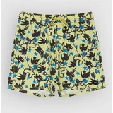 AF Dive In Elastic 17 Boardshorts beechnut