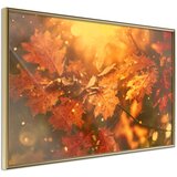  Poster - Golden Autumn 90x60 | shoptok.hr