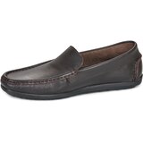 Carlington DRIVER Smeđa | shoptok.hr