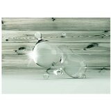  Tapeta - Beauty in Drops of Water 150x105 | shoptok.hr