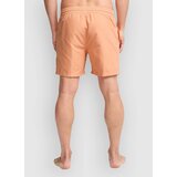 Billabong All Day Lb Boardshorts faded orange | Shoptok.si