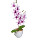Casa Selección Umetna rastlina (višina 43 cm) – | Shoptok.si