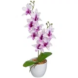 Umjetna biljka (visina 43 cm) –