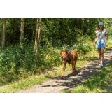 Trixie tragački povodac za pse od okruglog jedriličarskog užeta petrol 5 m s–m | Eponuda.com