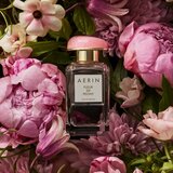 Estée Lauder Aerin Fleur de Peony parfumska voda za ženske 50 ml | Shoptok.si