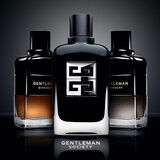 Givenchy Gentleman Society Extrême parfumska voda za moške 60 ml | Shoptok.si