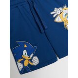 Sinsay Komplet od 2 para kratkih hlača Sonic The Hedgehog | shoptok.hr