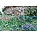 Nortene Mreža Minisquare (0,5 x 5 m, zelena) | Shoptok.si