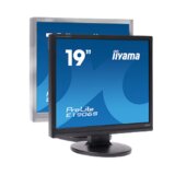 Iiyama Monitor PLE1906S/ PI | Eponuda.ba