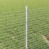  Zatvorena žičana ograda s postovima 50 x 0,4 m Pocinčani čelik | shoptok.hr