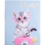 Grupo ALBUM FOTO SOFT 48 BOLSILOS 13X20CM STUDIO PETS CAT TABBY, (20874152) Cene