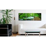  Slika - Forest broadwalk - triptych 120x40 | shoptok.hr