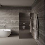 AQUAART Tuš stijena Vetro mirror 120F 120x200 cm, krom | shoptok.hr