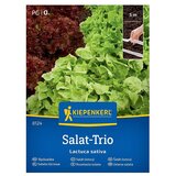 KIEPENKERL Zelenjavna semena Solata Trio (Lactuca sativa, Čas žetve: Maj) | Shoptok.si