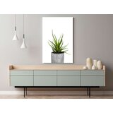  Slika - Haworthia (1 Part) Vertical 60x90 | shoptok.hr