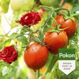 POKON pršilo proti insektom za rastline – 800ml, (5000006538) | Shoptok.si