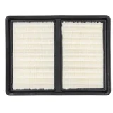 DED66072 HEPA filter za usisivač DED6607 ( DED66072 )