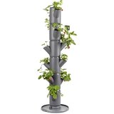Gusta Garden Jagoda - Sissi Strawberry Classic Cene