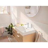 Hansgrohe 72517000 rebris s 110 armatura za umivalnik | Shoptok.si