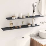  Polica na zidu s policom Zidne 2 pcs Antracit 100 x 18 x 2 5 cm - Antracit 100 x 18 cm 2 | shoptok.hr