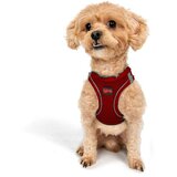  Air-Mesh - Crvena Ogrlica za Pse | Eponuda.com