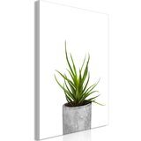  Slika - Haworthia (1 Part) Vertical 60x90 Cijene