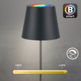 BRILONER 7559015-LED RGB stona lampa COLORIS 3,5W/5V IP44 2000mAh Wi-Fi Tuya | Eponuda.com