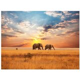  Tapeta - African savanna elephants 250x193 | shoptok.hr