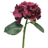 Dekordom Cvet hydrangea 48cm 12275-6 - bordeaux - nnt ( 040048 ) Cene