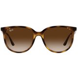 Ray-ban RB4378 710/13 ONE SIZE (54) Havana/Rjava | Shoptok.si
