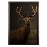Wallity slika stag horn, 50 x 70 cm | ePonuda.com