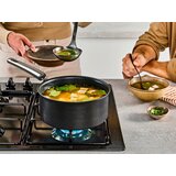 Tefal KOZICA Excellence+ aluminij | Shoptok.si