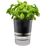 Gefu BOTANICO Herb pot Freestanding Plastic, Stainless steel Black Cijene