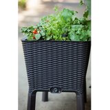 Keter saksija za mini baštu Easy grow 120L, grafit | ePonuda.com