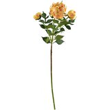 Mondex cvetna veja umetna Viridis Chryzantema 70cm zelena 3kos, (5000331116) | Shoptok.si