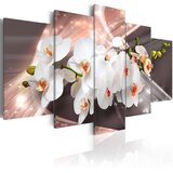  Slika - Echo of Beauty 200x100 Cijene