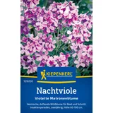 KIEPENKERL Dame's Rocket (nočna vijolica) - 1 pkt.