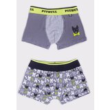 Yoclub Kids's 2Pack Boy's Boxer Briefs BMB-0018C-AA30 | shoptok.hr
