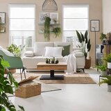 XXXL Umetna Rastlina Tillandsia Ii -Paz- | Shoptok.si