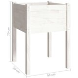 vidaXL Vrtna sadilica bijela 50 x 50 x 70 cm od masivne borovine | shoptok.hr