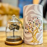  Drevesce iz pirita – energetski vrt s 30 kamni - Home warming - Dan žena | Shoptok.si