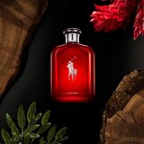 Polo Ralph Lauren Polo Red parfumska voda za moške 75 ml | Shoptok.si
