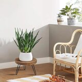 JNUYISW leseno stojalo za rastline z 3 kovinskimi nogami | Shoptok.si