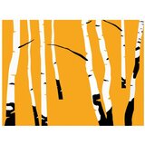  Tapeta - Birches on the orange background 300x231 | shoptok.hr