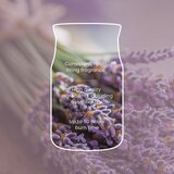 Yankee Candle Dried Lavender & Oak dišeča sveča 368 g | Shoptok.si
