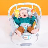 Kids II Bright Starts Ležaljka Whimsical Wild 11805 | ePonuda.com