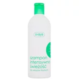 Ziaja Intensive Freshness 400 ml intenzivno osvježavajući šampon za masnu kosu s prhuti za ženske