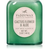 Paddywax Vista Cactus Flower & Aloe mirisna svijeća 142 g