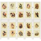  Romdivider Panel Bijelo 212 x 165 cm MDF | shoptok.hr