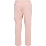 Adidas Športne hlače 'TIRO' jagoda / rosé / črna | Shoptok.si